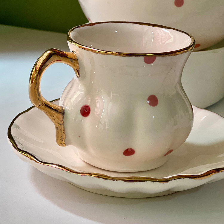 ست پذیرایی دِیزی(پس کرایه)